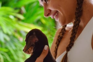Bali: Canggu Puppy Yoga Class med uppfriskande drycker
