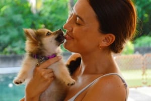 Bali : Cours de yoga pour chiots à Canggu avec boissons rafraîchissantes