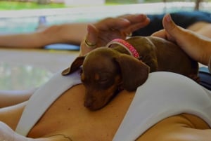 Bali: Canggu Puppy Yogales met verfrissende drankjes