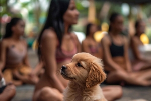 Bali: Puppy Yoga-les in Canggu en Uluwatu met verfrissende drankjes