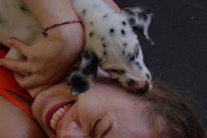Bali: Puppy Yoga-les in Canggu en Uluwatu met verfrissende drankjes