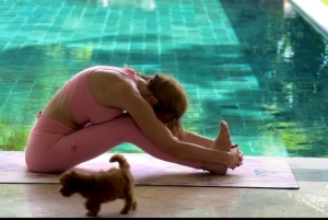 Bali: Puppy Yoga-les in Canggu en Uluwatu met verfrissende drankjes
