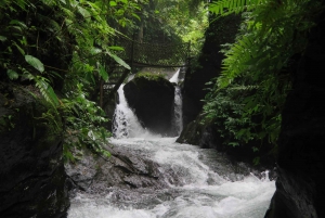 Bali: Canyon Tubing Adventure