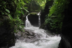 Bali: Canyon Tubing Adventure