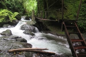 Bali: Canyon Tubing Adventure