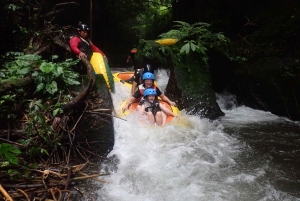 Bali: Canyon Tubing Adventure
