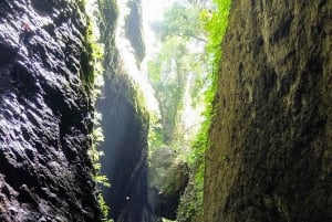 Bali: Canyoningavontuur bij de Aling-waterval