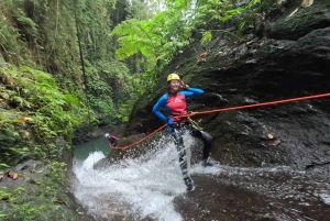 Bali: Canyoning Adventure in Sambangan Canyon