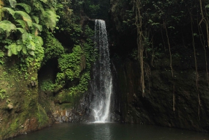 Bali Canyoning: Springs Canyon