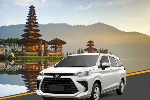 Bali Car Charter with Driver