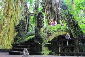 Bali Car Charter with Driver