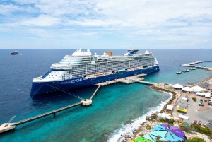 バリ島：セルーカンバワン港発寄港地観光1日ツアー