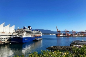 バリ島：セルーカンバワン港発寄港地観光1日ツアー