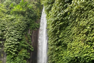 バリ島：セルーカンバワン港発寄港地観光1日ツアー
