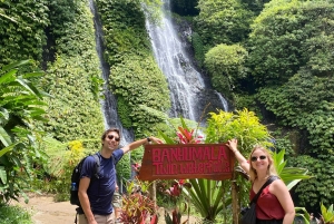 バリ島：セルーカンバワン港発寄港地観光1日ツアー
