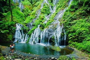 バリ島：セルーカンバワン港発寄港地観光1日ツアー