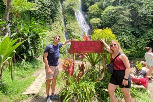 バリ島：セルーカンバワン港発寄港地観光1日ツアー