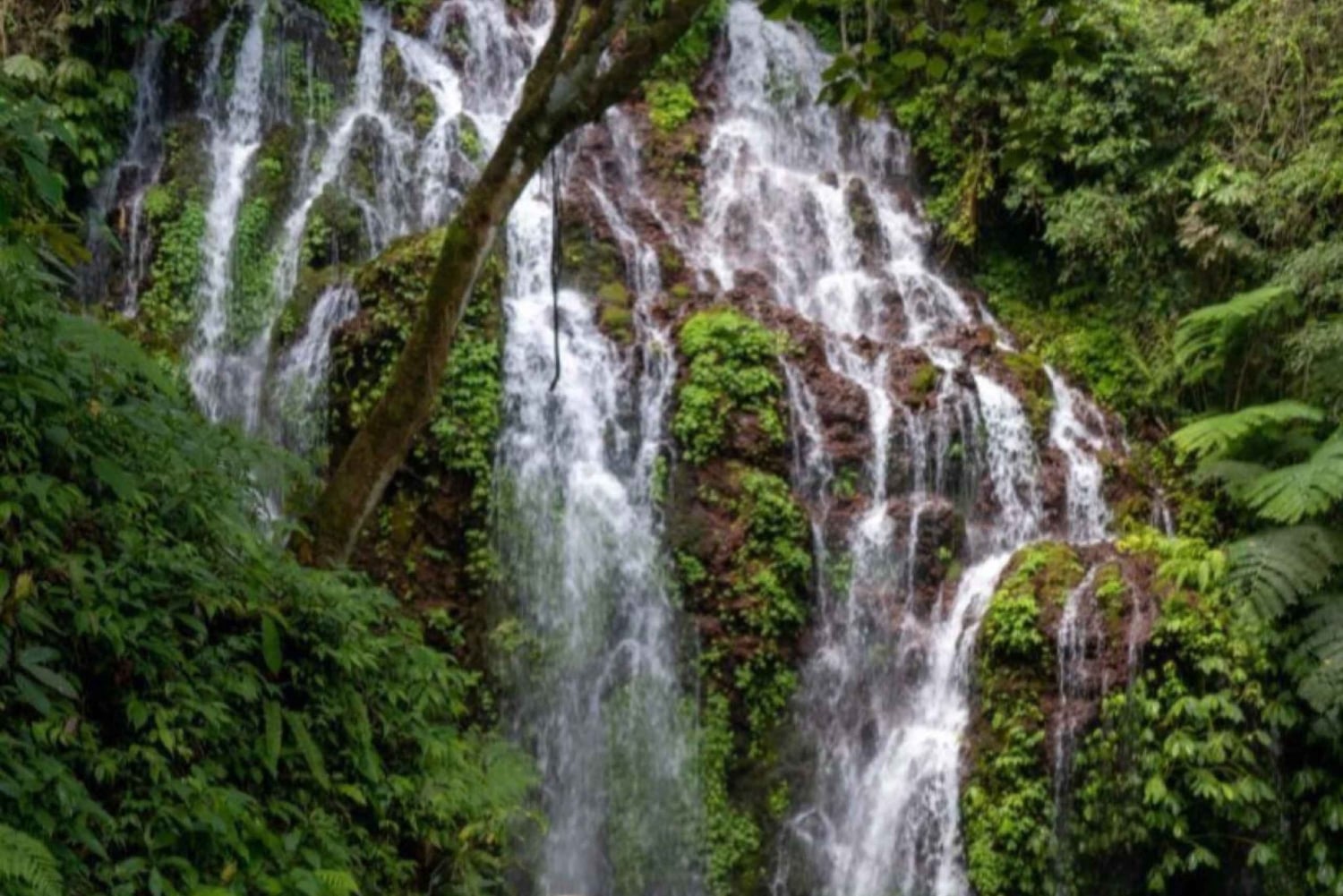 Бали: береговая экскурсия в Челюкан-Баванг с посещением водопада и пляжа