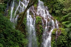 Бали: береговая экскурсия в Челюкан-Баванг с посещением водопада и пляжа