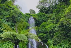 Бали: береговая экскурсия в Челюкан-Баванг с посещением водопада и пляжа