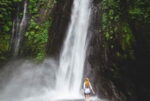 Бали: береговая экскурсия в Челюкан-Баванг с посещением водопада и пляжа