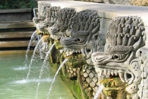 Бали: береговая экскурсия в Челюкан-Баванг с посещением водопада и пляжа