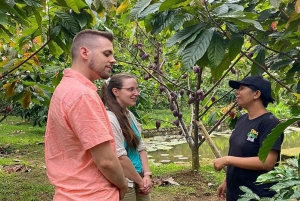 Bali: Sjokoladetur med risterrasser og tempelbesøk