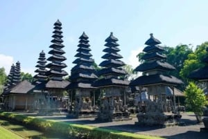 Bali: Sjokoladetur med risterrasser og tempelbesøk