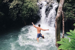 Bali: Tour delle cascate di Gitgit con salto dalla scogliera e terrazza di riso