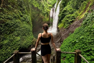 Bali: Tour delle cascate di Gitgit con salto dalla scogliera e terrazza di riso