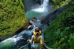 Bali: Tour delle cascate di Gitgit con salto dalla scogliera e terrazza di riso