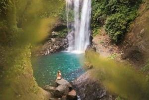 Bali: Tour delle cascate di Gitgit con salto dalla scogliera e terrazza di riso