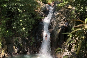 Bali: Tour delle cascate di Gitgit con salto dalla scogliera e terrazza di riso