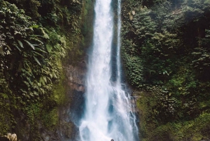 Bali: Tour delle cascate di Gitgit con salto dalla scogliera e terrazza di riso