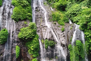 Bali: Tour delle cascate di Gitgit con salto dalla scogliera e terrazza di riso