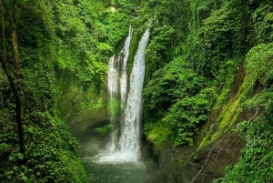 Bali: Tour delle cascate di Gitgit con salto dalla scogliera e terrazza di riso