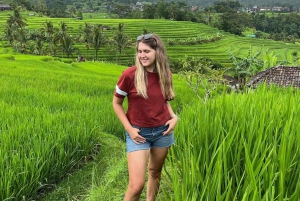 Bali: Tour delle cascate di Gitgit con salto dalla scogliera e terrazza di riso