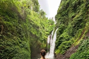 Bali: Cliff Jumping Gitgit Waterfalls & Rice Terrace Tour