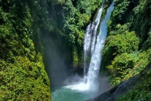 Bali: Cliff Jumping Gitgit Waterfalls & Rice Terrace Tour