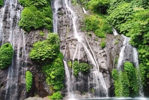 Bali: Cliff Jumping Gitgit Waterfalls & Rice Terrace Tour