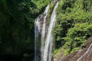 Bali: Cliff Jumping Gitgit Waterfalls & Rice Terrace Tour