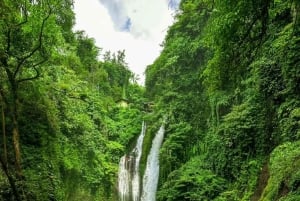 Bali: Cliff Jumping Gitgit Waterfalls & Rice Terrace Tour