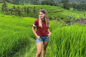 Bali: Cliff Jumping Gitgit Waterfalls & Rice Terrace Tour