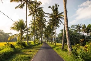 Bali Coastal Magic Waterblow,Canggu Vibes & Tanah Lot Sunset