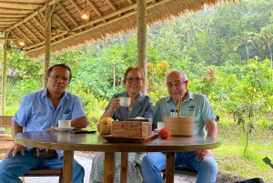 Lokasari: tour della piantagione di caffè, tè alle erbe e miele puro