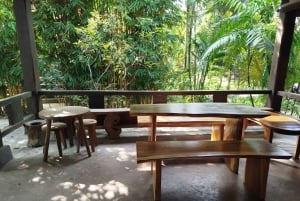 Bali: esperienza di torrefazione e degustazione del caffè