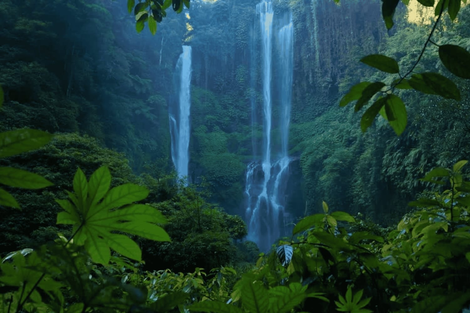 Bali : visite personnalisée du nord de Bali