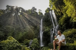 Bali : visite personnalisée du nord de Bali