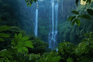 Bali : visite personnalisée du nord de Bali