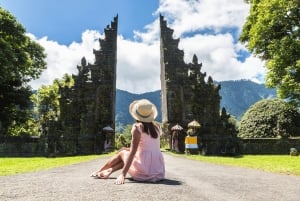 Bali : visite personnalisée du nord de Bali